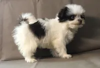 processed/2af72e33-224c-4b9a-9f72-c699d0b43352/listing/0ba316c9-3b8e-40de-88e7-0ffac37ad4e3/b75e0ee9-6ad1-47c8-8f4f-879d3226b787