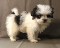 processed/2af72e33-224c-4b9a-9f72-c699d0b43352/listing/0ba316c9-3b8e-40de-88e7-0ffac37ad4e3/c12dc81f-8822-480b-9fdf-30d69f4539bb