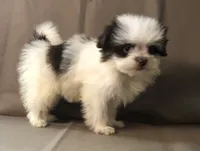 processed/2af72e33-224c-4b9a-9f72-c699d0b43352/listing/0ba316c9-3b8e-40de-88e7-0ffac37ad4e3/dc3a5f3f-2d79-4c5d-bc00-e2b2906175a4