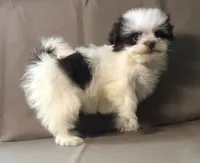 processed/2af72e33-224c-4b9a-9f72-c699d0b43352/listing/0ba316c9-3b8e-40de-88e7-0ffac37ad4e3/f696e301-e67b-4271-9f9e-8e6a7685dd50