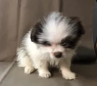 processed/2af72e33-224c-4b9a-9f72-c699d0b43352/listing/3d66faa1-3b41-4525-9361-7031f0aaa9e9/0b54d633-5fbe-4ad5-84d5-d02954ff80d9