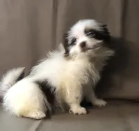 processed/2af72e33-224c-4b9a-9f72-c699d0b43352/listing/3d66faa1-3b41-4525-9361-7031f0aaa9e9/3487dc96-6988-44b8-bdab-0eb85e34c36c