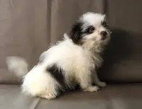 processed/2af72e33-224c-4b9a-9f72-c699d0b43352/listing/3d66faa1-3b41-4525-9361-7031f0aaa9e9/c2d5a52d-4083-4a2b-b7c0-95d4d6775788