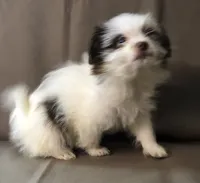 processed/2af72e33-224c-4b9a-9f72-c699d0b43352/listing/8c6cd292-4652-4bf9-8914-89baf282ed6a/2cc815e0-72e2-452a-9663-7c691a9b2b28