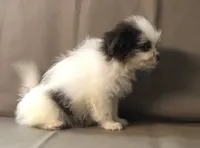 processed/2af72e33-224c-4b9a-9f72-c699d0b43352/listing/8c6cd292-4652-4bf9-8914-89baf282ed6a/722431b1-5a54-4316-9104-ed4462d34cf8