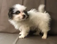 processed/2af72e33-224c-4b9a-9f72-c699d0b43352/listing/8c6cd292-4652-4bf9-8914-89baf282ed6a/8bc64a26-2bd6-469c-8122-5cd4d69e3973