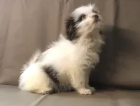 processed/2af72e33-224c-4b9a-9f72-c699d0b43352/listing/8c6cd292-4652-4bf9-8914-89baf282ed6a/bec99522-4b25-4d14-9e13-777aafcad5b4