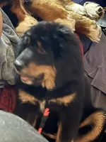 processed/2afaee23-3869-4cd1-9ce0-7fa216bd7a02/listing/55048e15-817a-4fc3-a9ff-be0735e635b8/0c10c80f-77a9-4e5f-8496-e894295e9759