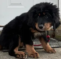 processed/2afaee23-3869-4cd1-9ce0-7fa216bd7a02/listing/55048e15-817a-4fc3-a9ff-be0735e635b8/70c171b4-f09b-4efc-8ee0-05113bddd96d