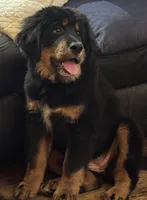 processed/2afaee23-3869-4cd1-9ce0-7fa216bd7a02/listing/55048e15-817a-4fc3-a9ff-be0735e635b8/996547b0-65b7-4971-9294-bf62cd76366b