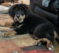 processed/2afaee23-3869-4cd1-9ce0-7fa216bd7a02/listing/55048e15-817a-4fc3-a9ff-be0735e635b8/e196003c-d52d-4e5c-b00a-a30e270c873a