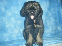 processed/2afcf8a5-83d5-4e49-a0fe-de89b6b7a7e4/listing/1f9ec1d8-3e5e-4f72-b9e8-353c3d9a30fa/010d81fa-e33d-43b8-bb05-c599c0689df2