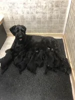 processed/2afcf8a5-83d5-4e49-a0fe-de89b6b7a7e4/listing/1f9ec1d8-3e5e-4f72-b9e8-353c3d9a30fa/15e92d9b-4bb6-45a8-b102-f42911e0c1e5