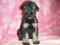 processed/2afcf8a5-83d5-4e49-a0fe-de89b6b7a7e4/listing/1f9ec1d8-3e5e-4f72-b9e8-353c3d9a30fa/17c81bd4-1b4c-4cf4-9bae-3f758ccf1035