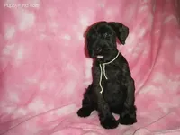 processed/2afcf8a5-83d5-4e49-a0fe-de89b6b7a7e4/listing/1f9ec1d8-3e5e-4f72-b9e8-353c3d9a30fa/3b833371-b7d3-4531-85ab-46776ef2870c