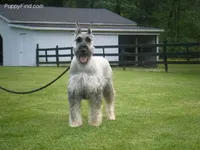 processed/2afcf8a5-83d5-4e49-a0fe-de89b6b7a7e4/listing/1f9ec1d8-3e5e-4f72-b9e8-353c3d9a30fa/4056cc11-c53d-4913-af76-f156dac6de78