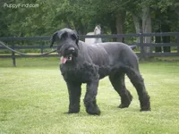 processed/2afcf8a5-83d5-4e49-a0fe-de89b6b7a7e4/listing/1f9ec1d8-3e5e-4f72-b9e8-353c3d9a30fa/bdff284a-03fe-4ee9-8c3c-0f69799dc587