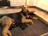 processed/2afcf8a5-83d5-4e49-a0fe-de89b6b7a7e4/listing/255489d9-ce8b-41ef-af2d-8ff03377d9b9/192a3195-142c-4959-9dbf-e461d46e1c5f