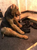 processed/2afcf8a5-83d5-4e49-a0fe-de89b6b7a7e4/listing/255489d9-ce8b-41ef-af2d-8ff03377d9b9/94ef34d7-b301-4073-ba29-753102805711