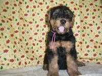 processed/2afcf8a5-83d5-4e49-a0fe-de89b6b7a7e4/listing/255489d9-ce8b-41ef-af2d-8ff03377d9b9/ab1fc767-8df6-4c45-b2c4-daf703cf7a87