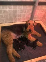 processed/2afcf8a5-83d5-4e49-a0fe-de89b6b7a7e4/listing/255489d9-ce8b-41ef-af2d-8ff03377d9b9/f38a67e4-3bb3-4fa6-9369-0f82bf8d1c4d