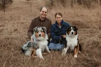 Austin, a male Australian Shepherd for sale in Congerville, IL – Photo 6 of 8