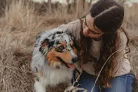 Frezno, a male Australian Shepherd for sale in Congerville, IL – Photo 6 of 7