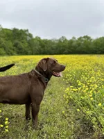 processed/2b159d2f-afbd-4097-aadb-f40f2853dc7c/facility/29631c93-e118-4a00-b00d-650e56902dc1