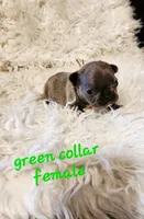 processed/2b1d129c-3e25-46cf-8606-7fb86d62c713/listing/c7fcb8f5-60c2-42c2-b412-84d1cb97c8d2/a4a6158e-2461-4109-87d6-1095dbe976c5