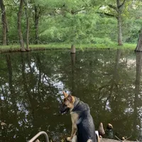 processed/2b27cf2f-322b-4d49-9c51-26fc0a19789f/facility/2c85a428-f9d5-4a79-a0a6-4395dd840fa6