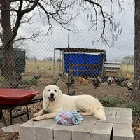 processed/2b27cf2f-322b-4d49-9c51-26fc0a19789f/facility/2f5de611-326b-4c43-9114-1bcf8be6ac6b