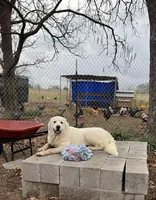 processed/2b27cf2f-322b-4d49-9c51-26fc0a19789f/facility/2f5de611-326b-4c43-9114-1bcf8be6ac6b