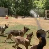 processed/2b27cf2f-322b-4d49-9c51-26fc0a19789f/facility/3304b45c-59b1-4486-804d-d674eee39307