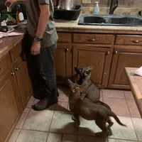 processed/2b27cf2f-322b-4d49-9c51-26fc0a19789f/facility/4e3c259e-49c0-44be-a562-c5f35d14edf2