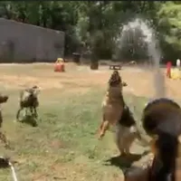 processed/2b27cf2f-322b-4d49-9c51-26fc0a19789f/facility/89b5e160-4c26-41a4-9956-e34775a726b8