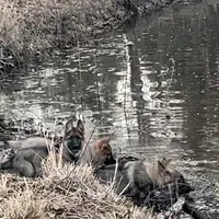 processed/2b27cf2f-322b-4d49-9c51-26fc0a19789f/facility/b66e2106-8968-4cd0-8818-e5fe30928273