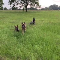 processed/2b27cf2f-322b-4d49-9c51-26fc0a19789f/facility/bd76c858-fc4e-4be3-b085-b15585f95357