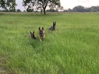 processed/2b27cf2f-322b-4d49-9c51-26fc0a19789f/facility/bd76c858-fc4e-4be3-b085-b15585f95357