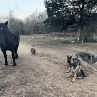 processed/2b27cf2f-322b-4d49-9c51-26fc0a19789f/facility/c0a1f2f9-3aa8-4b0f-8bc9-e97b153e2318