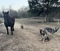 processed/2b27cf2f-322b-4d49-9c51-26fc0a19789f/facility/c0a1f2f9-3aa8-4b0f-8bc9-e97b153e2318