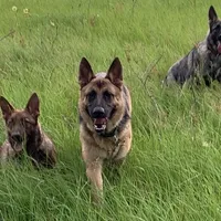 processed/2b27cf2f-322b-4d49-9c51-26fc0a19789f/facility/c8378dba-56fb-4e4a-b798-aa188bcd1cee