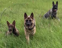 processed/2b27cf2f-322b-4d49-9c51-26fc0a19789f/facility/c8378dba-56fb-4e4a-b798-aa188bcd1cee