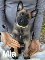 processed/2b27cf2f-322b-4d49-9c51-26fc0a19789f/listing/2493695e-fa32-4e55-bcf4-d949cbd96466/18cd2bca-b1a2-4f4a-8b88-864486094e99