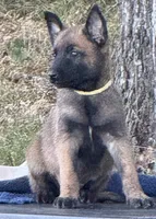 processed/2b27cf2f-322b-4d49-9c51-26fc0a19789f/listing/2493695e-fa32-4e55-bcf4-d949cbd96466/55b7556f-3b6c-43c3-ab8d-8982538f1b69