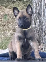 processed/2b27cf2f-322b-4d49-9c51-26fc0a19789f/listing/2493695e-fa32-4e55-bcf4-d949cbd96466/f7506ef5-6183-46ec-ad6d-c9475d570544