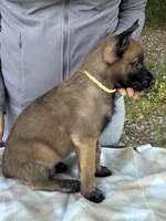 processed/2b27cf2f-322b-4d49-9c51-26fc0a19789f/listing/2493695e-fa32-4e55-bcf4-d949cbd96466/f96cb706-df5c-4c96-a6f6-66242980beef