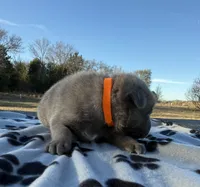 processed/2b27cf2f-322b-4d49-9c51-26fc0a19789f/listing/2bef78e6-2316-43f7-9779-907cdc1dc7b8/2b1800f4-5c1d-47da-b890-b0fef0d77a9a