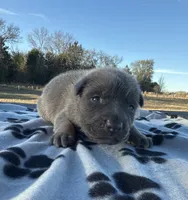 processed/2b27cf2f-322b-4d49-9c51-26fc0a19789f/listing/2bef78e6-2316-43f7-9779-907cdc1dc7b8/5714baf5-fd0e-4442-a625-4d383b3e85e3