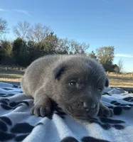 processed/2b27cf2f-322b-4d49-9c51-26fc0a19789f/listing/2bef78e6-2316-43f7-9779-907cdc1dc7b8/f14a95c9-601b-488f-8b04-62e6980ba160