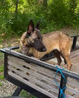 processed/2b27cf2f-322b-4d49-9c51-26fc0a19789f/listing/30fdab79-cadf-4921-a656-53f10a26840a/0473f36d-ea7f-4c1f-a18d-a759d8a52b6d